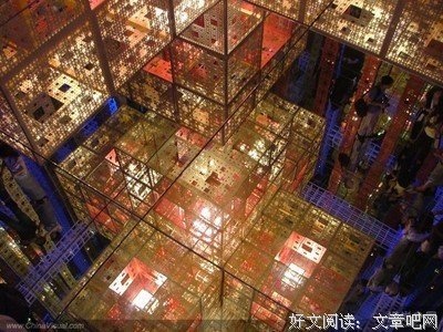 《林荫大道》的观后感大全