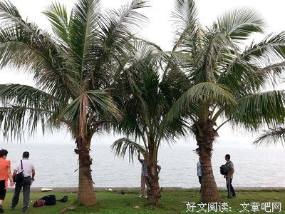 15条关于游手好闲的经典语句