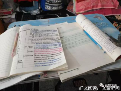 《爸爸回来了 第一季》观后感摘抄