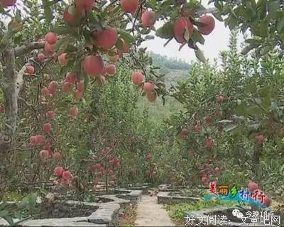 生去会怎么有样把有么多奔头好词好句