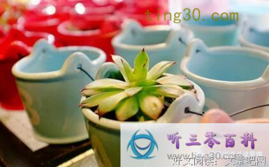 晨曦和繁光优美的句子