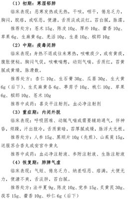 关于Chinese的句子
