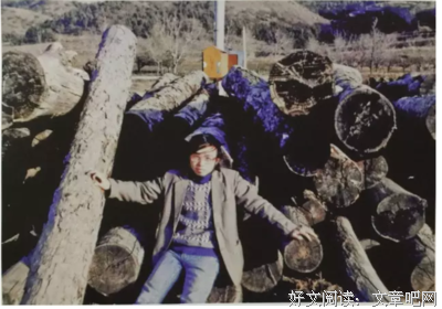 关于海子的句子