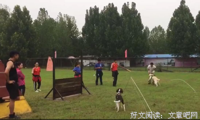 如果爱，请深爱。句子大全