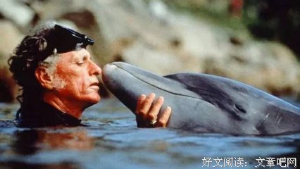 逝风的句子