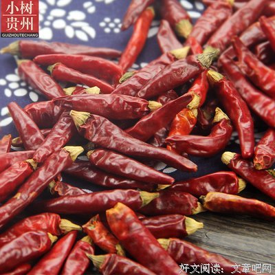 关于买辣椒也用券名言大全