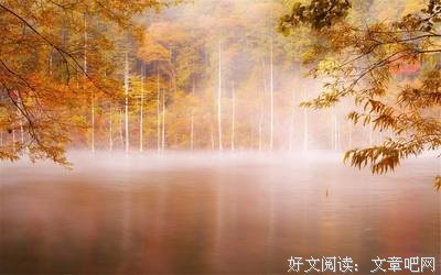最新的《情当里说》经典语录大全