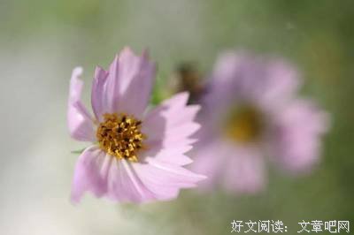 心宽能看淡，心善能释怀