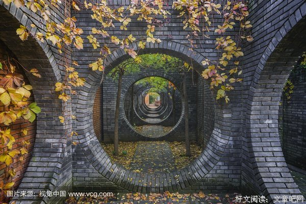 《石头开花》观后感摘抄