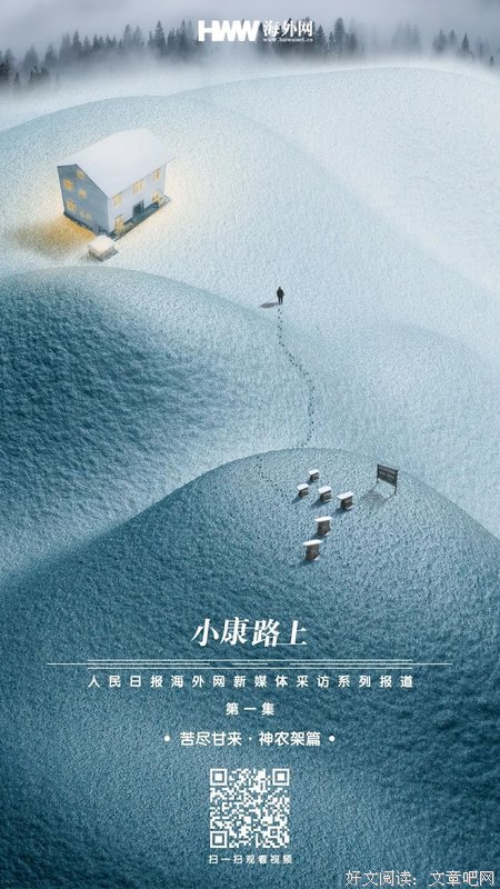 南国之冬读后感100字