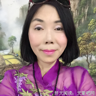 《小太阳》经典读后感有感