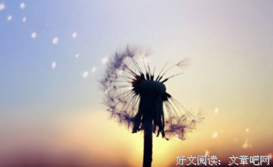 15条关于冷落的经典语句