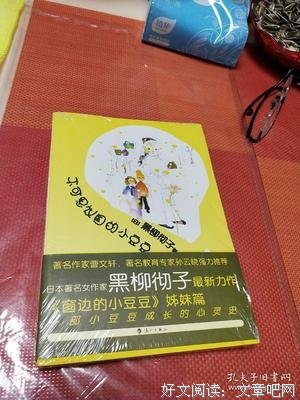 《不可思议国的小豆豆》读后感精选