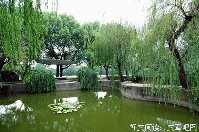 美不胜收的句子