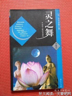 《灵之舞》读后感精选