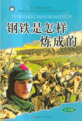 《我曾是塞林格的情人》读后感锦集