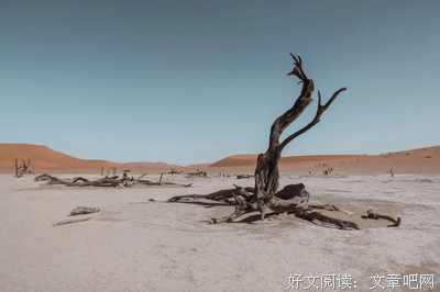 看不懂你的心经典的句子