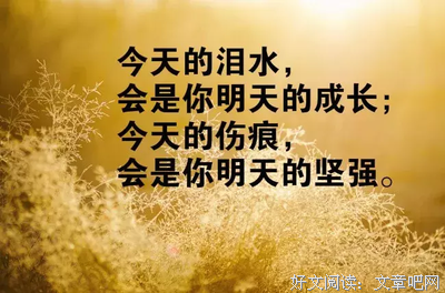 珍惜。的句子