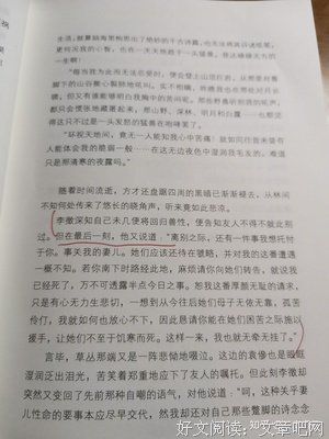 已经看过的句子