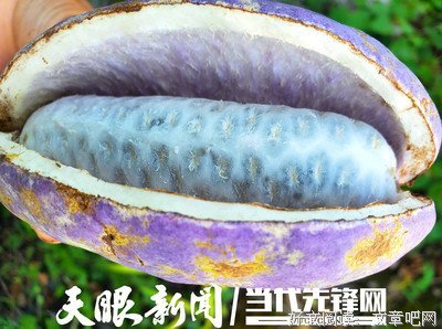 关于大丈中得比。的句子