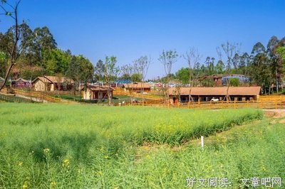《锦城花时》小说书摘