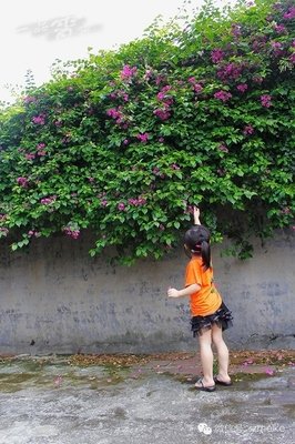 《万万时打把来想到》名句欣赏