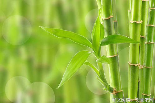 “小往大来”与“大往小来” 