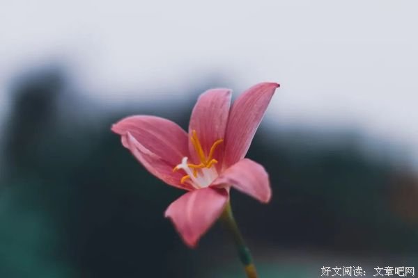 我已经五十了