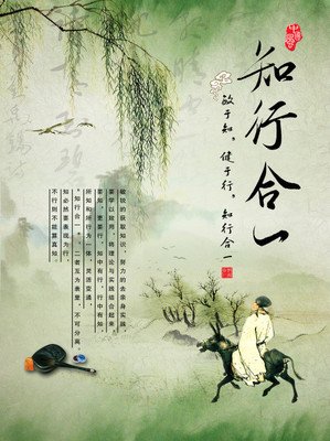 万法简史读后感1000字