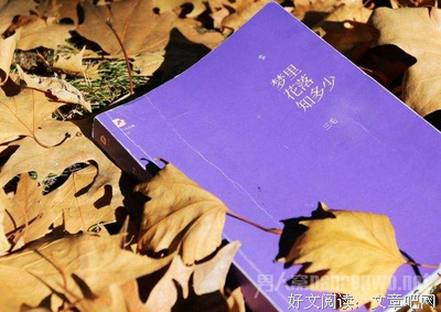 《梦里花落知多少》经典读后感有感