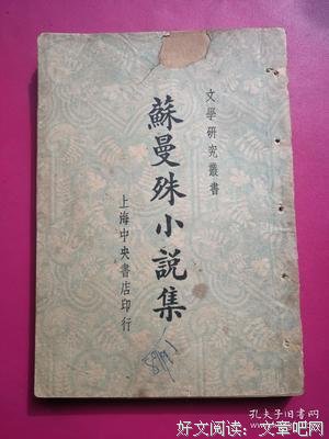 断鸿零雁记读后感100字