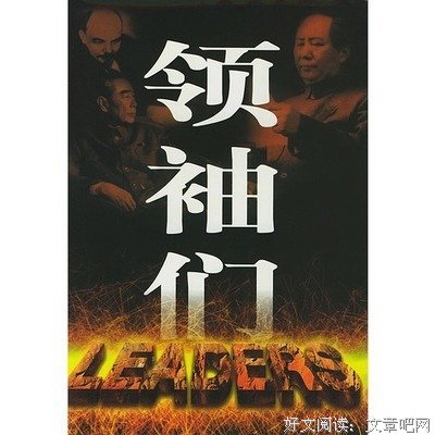领袖们读后感锦集