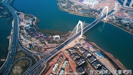 《飞得更高》读后感精选