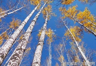 人类及其象征读后感锦集