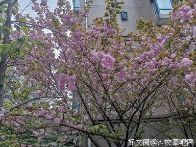 《传者图像》读后感100字