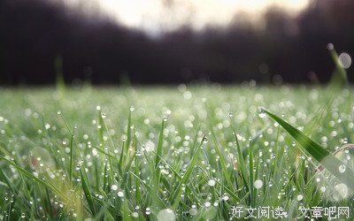 关于雨过天晴的语句