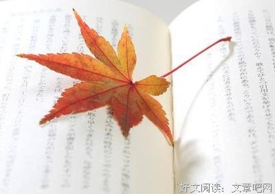 倔强的优美句子