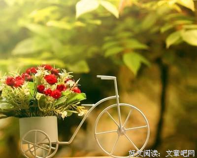 这些时光的优美句子
