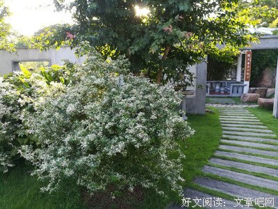 夜半谰语