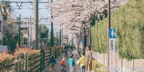 关于句的句子