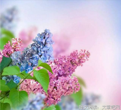 诉谁心语