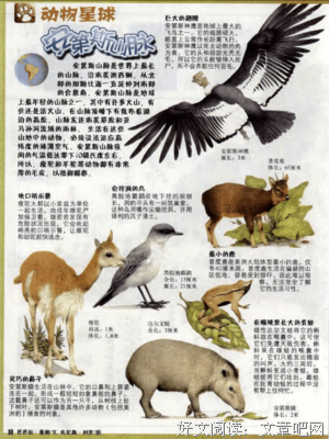 最经典的《庐利里》经典句子