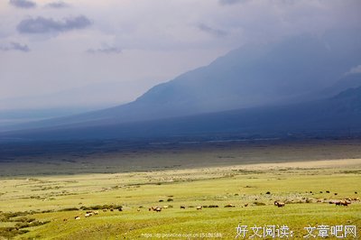 《天地之间》影评摘抄