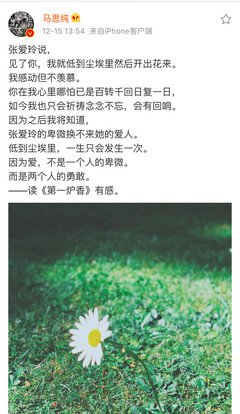《揭秘世界翻翻书：揭秘汽车》的读后感大全