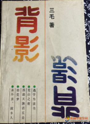《三毛真相》读后感100字