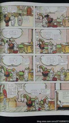 被涂污的鸟读后感锦集