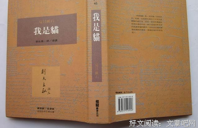 从此以后的读后感大全
