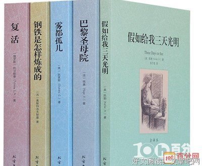 大君经典读后感有感