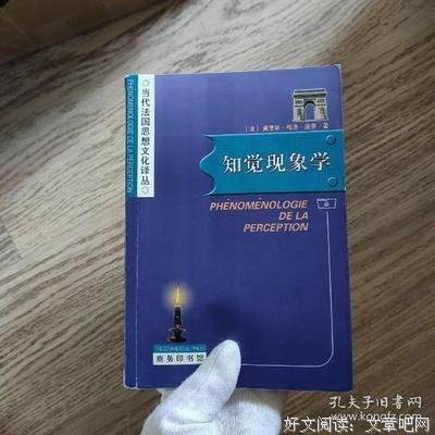 《知觉现象学》经典读后感有感