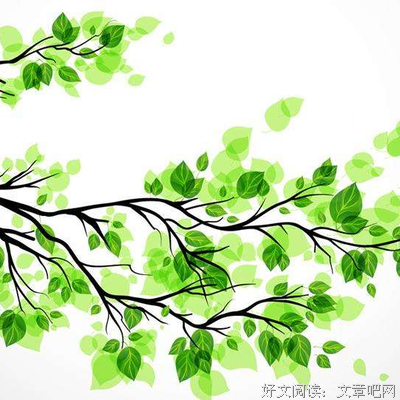 《光影记忆》读后感锦集